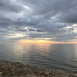 Meet your Posher, Jorja